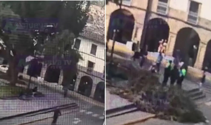 Cusco: turista se salva de milagro tras caerle un árbol encima mientras descansaba en la Plazoleta Regocijo 